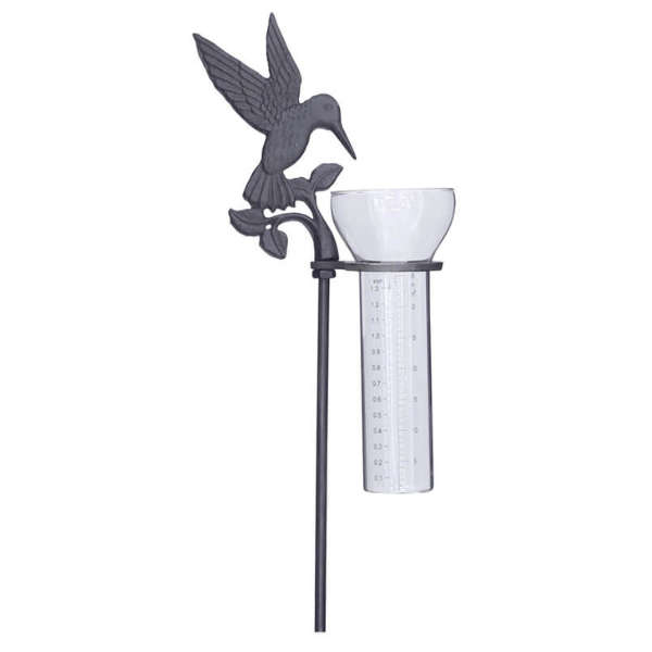 Bird rain gauge