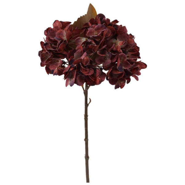 Vintage plum hydrangea