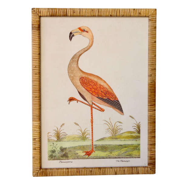 Flamingo rattan framed picture