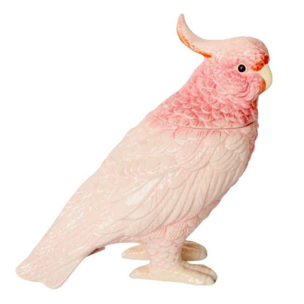 Pink parrot