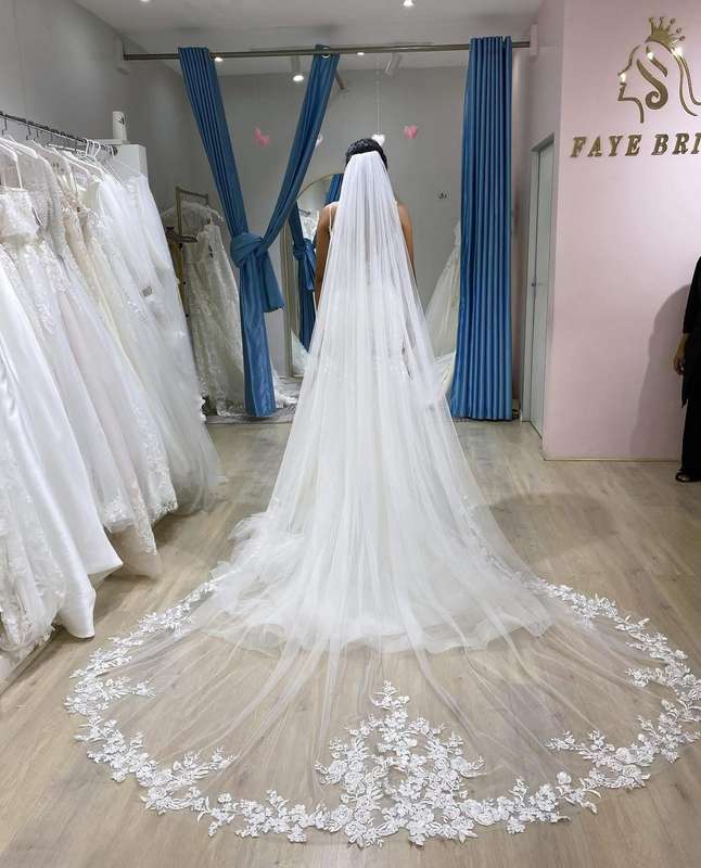 3 Meter shimmer  edge lace veil
