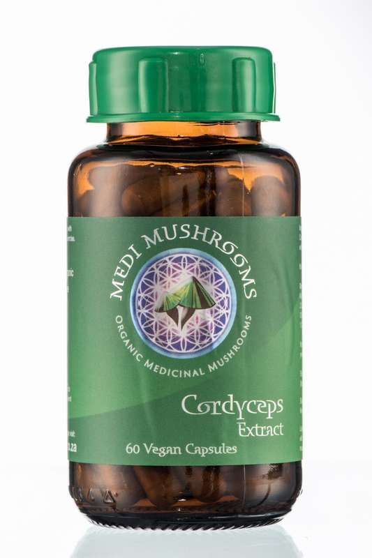 Buy Medi Mushrooms Cordyceps Online