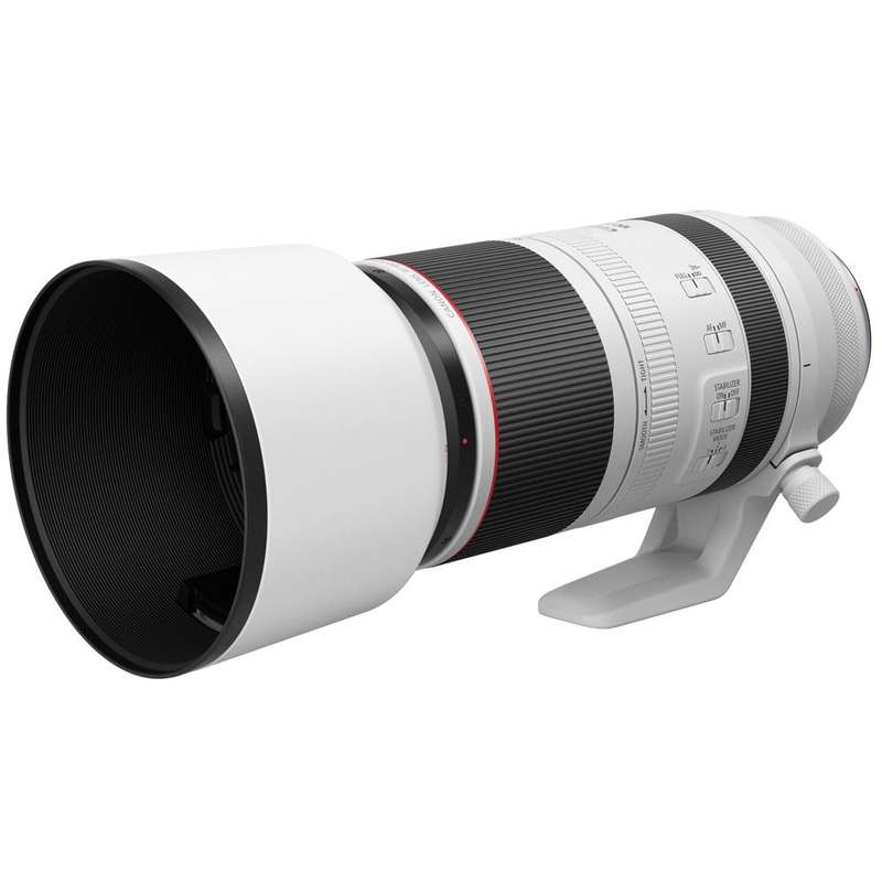 Canon RF 100-500mm F4.5-7.1 L IS USM Lens