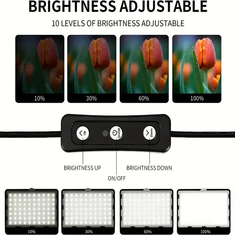 RSI MS300 Triple Studio Video Light Kit
