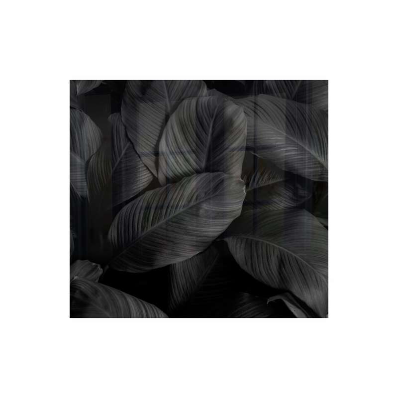 Decorative Glass Wall Tile 598MM X 650MM Feathers
