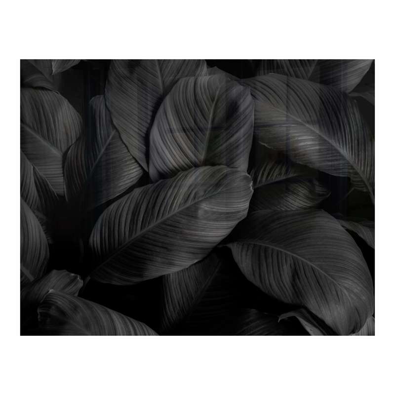 Decorative Glass Wall Tile (898 X 700 X 6mm) Feathers