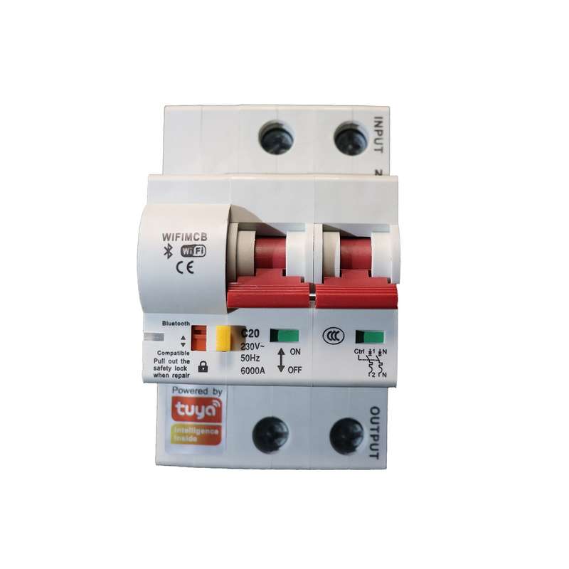 Tuya 2P 63A Smart Wifi Circuit Breaker