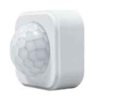 Tuya Zigbee PIR Motion Sensor
