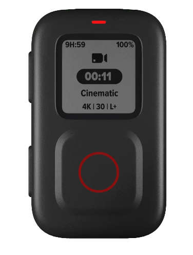 GoPro The Remote - Official GoPro Accessory