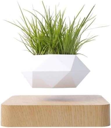 Magnetic Floating Levitating Pot Plant  Rotating Air Bonsai Planter- 360° Levitating Planter-...