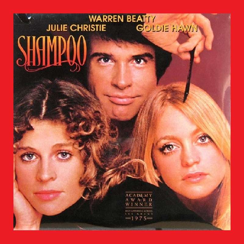 LASERDISC - SHAMPOO