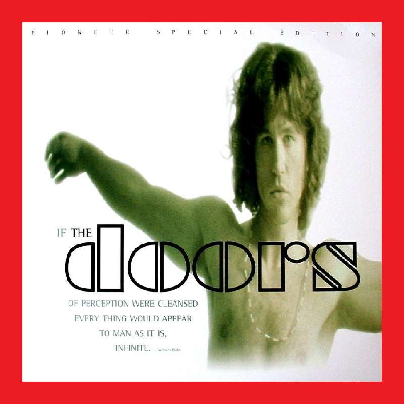 LASERDISC - THE DOORS - [Biography-Picture of the 60s Rock Group The Doors]