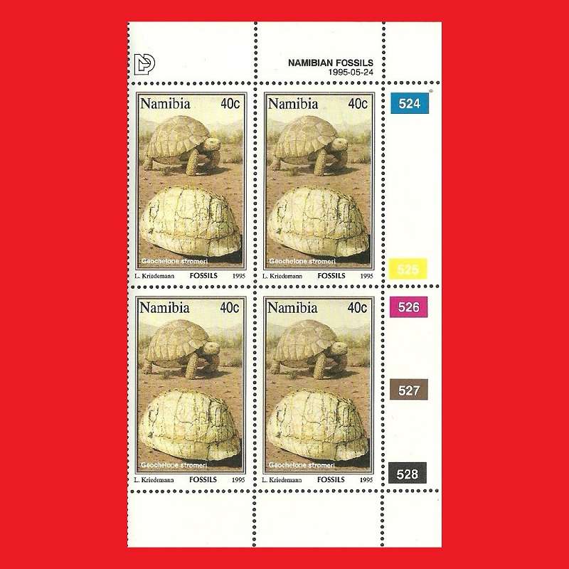 Namibian Fossils Control Blocks SACC 126-129 1996/09/12