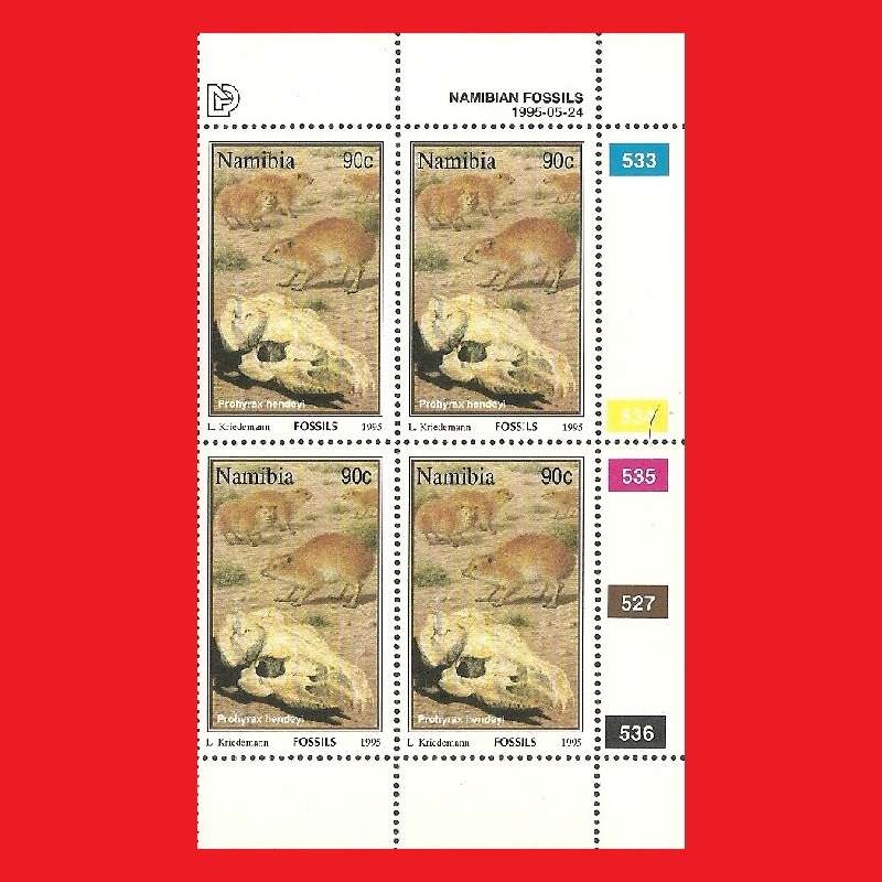 Namibian Fossils Control Blocks SACC 126-129 1996/09/12