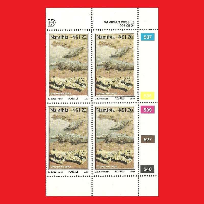 Namibian Fossils Control Blocks SACC 126-129 1996/09/12