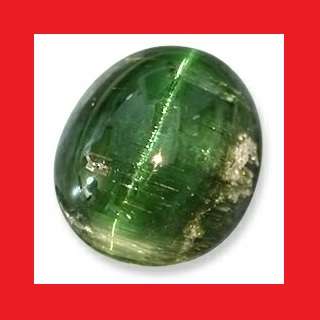 CAT`S EYE TOURMALINE - JUNGLE GREEN OVAL CABOCHON - 4.67cts