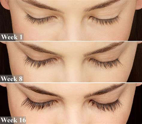Best Eyelash/Eyebrow Growth Serum