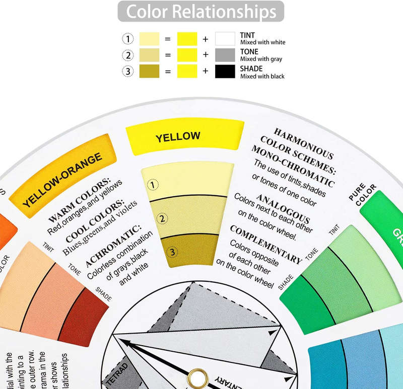 BubbleBean - Colour Wheel