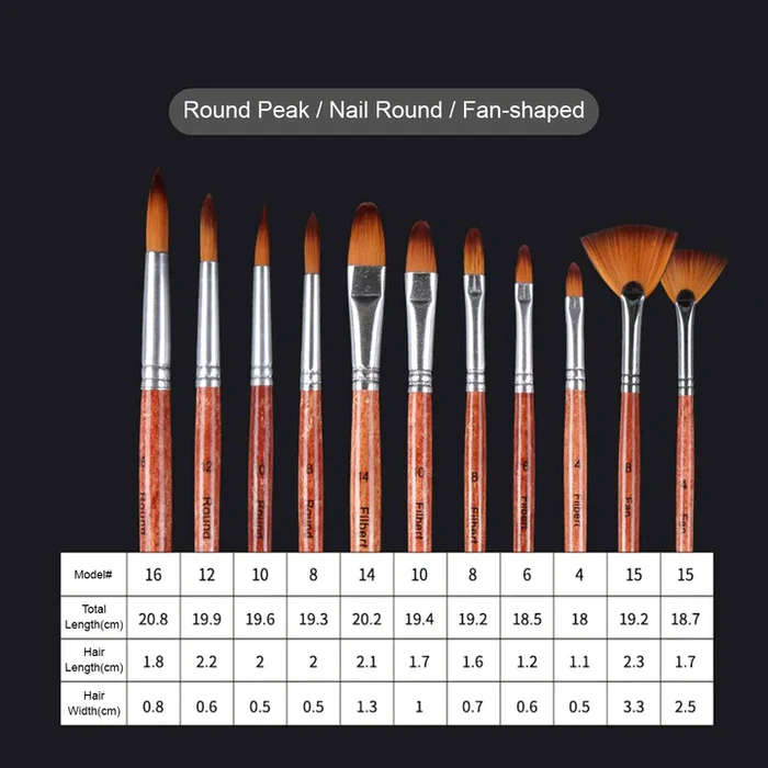 Giorgione Set of 25 Artist Paint Brushes