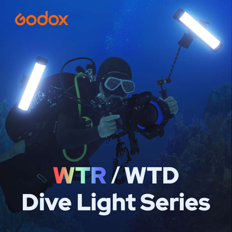 Godox WT40R RGB Dive Tube Light (38cm)