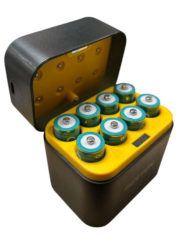 Beston M7036 8 Slot Smart Lithium Battery Charger, 8 x AA100 1.5V 2200mAh Batteries