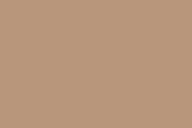 Paper Backdrop Beige (2.7 x 10m)