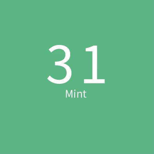 Paper Backdrop Mint Green (2.7 x 10m)