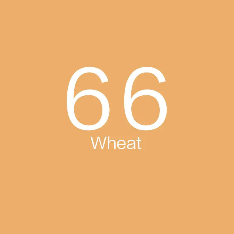 Paper Background Wheat (2.7 x 10m)