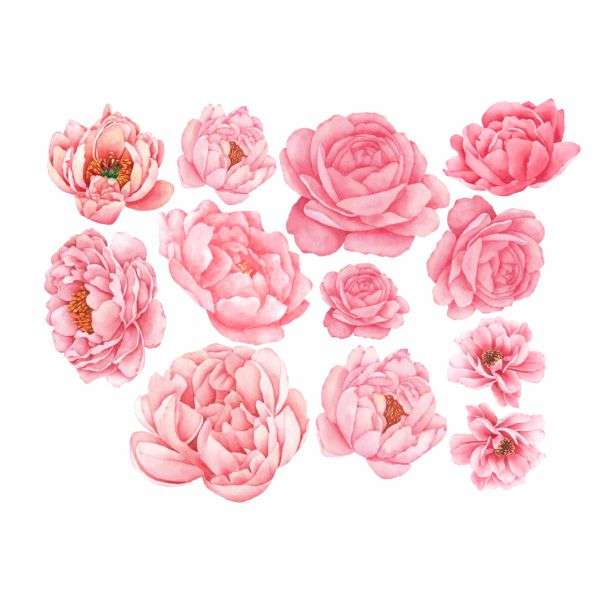 Peony Wall Vinyl Stickers - Pack of 12 Individual Peony Flower Decals
