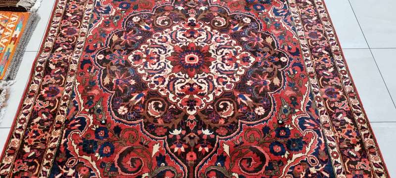 Persian Bakhtiari Carpet 315cm x 220cm Hand Knotted