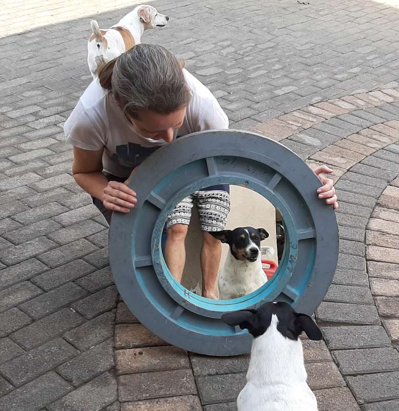 Blue round mirror