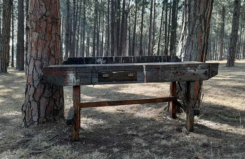 Artist Bench