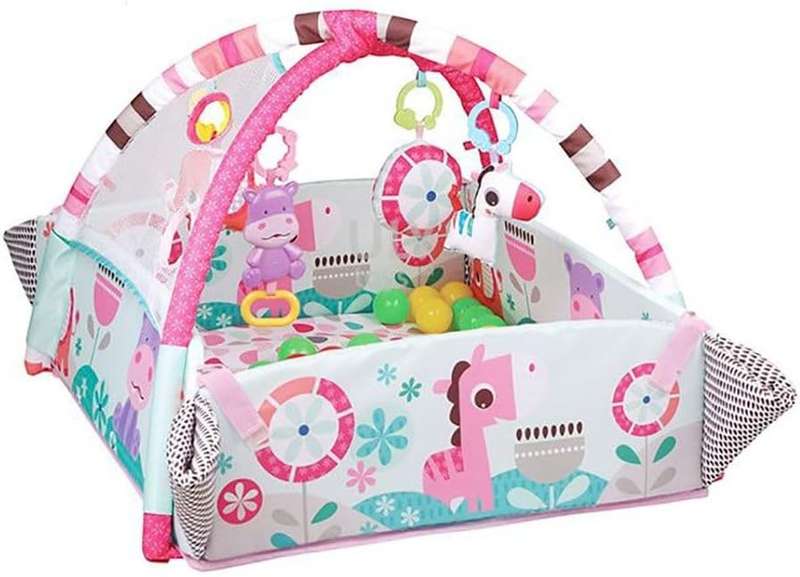 Jack Brown 5-in-1 Activity Gym & Ball Pit