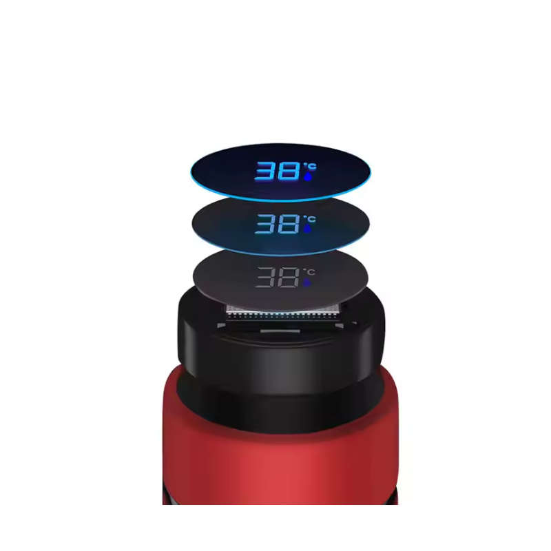 500ml Intelligent Digital Temperature Display Double Wall Cup