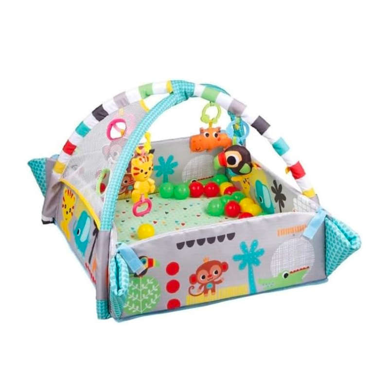 Jack Brown 5-in-1 Activity Gym & Ball Pit