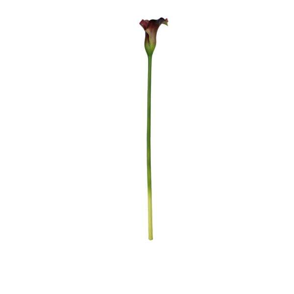Calla Lily spray fuschia 30