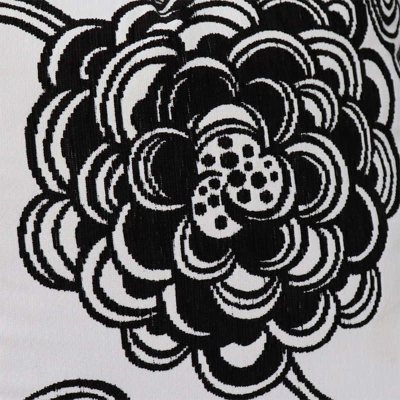 Black and White Bloom