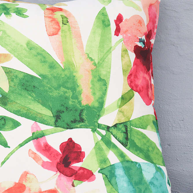 Tropical Bloom Scatters