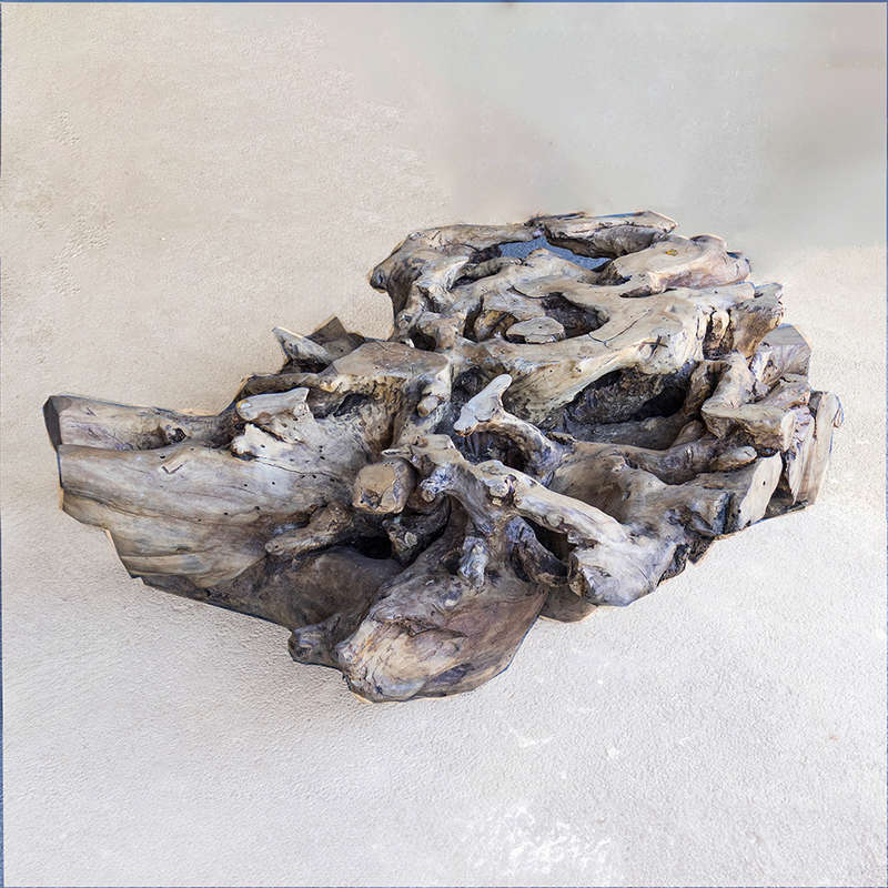 Tree Root Coffee Table