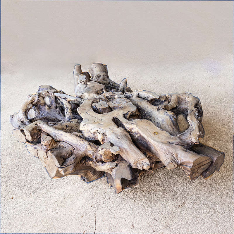 Tree Root Coffee Table