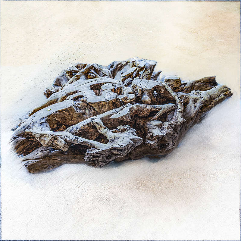 Tree Root Coffee Table