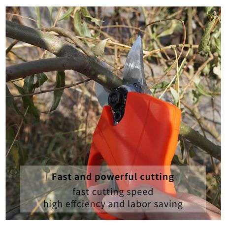 Professional Rechargeable Electric Pruning Shears