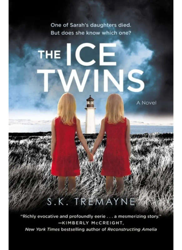 The Ice Twins