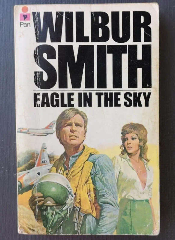 Eagle in the sky (Paperback)