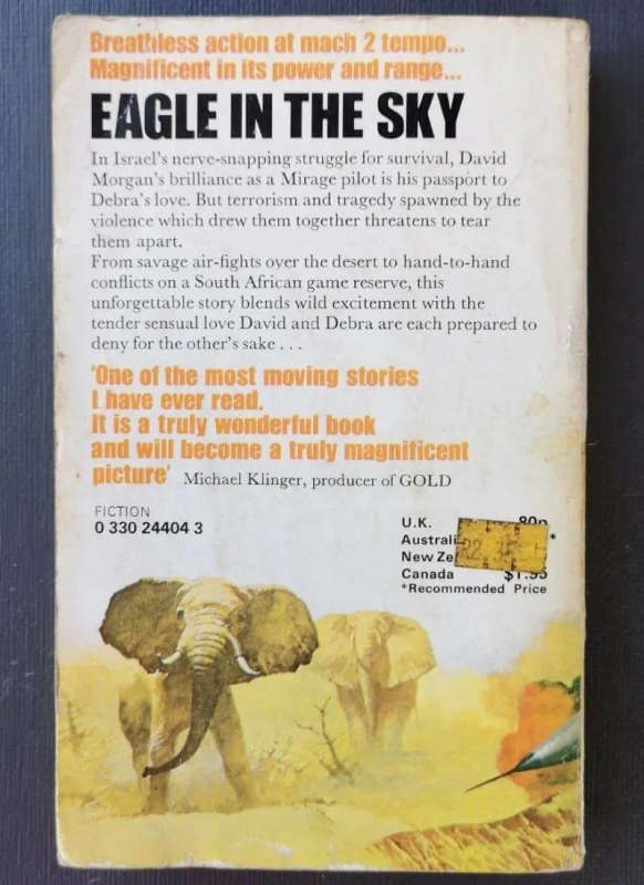 Eagle in the sky (Paperback)