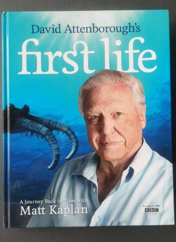 First Life