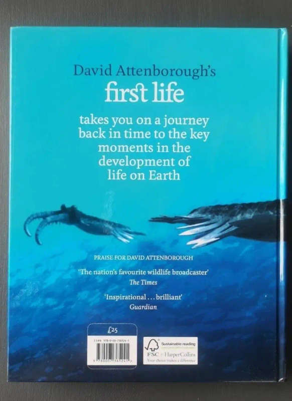First Life