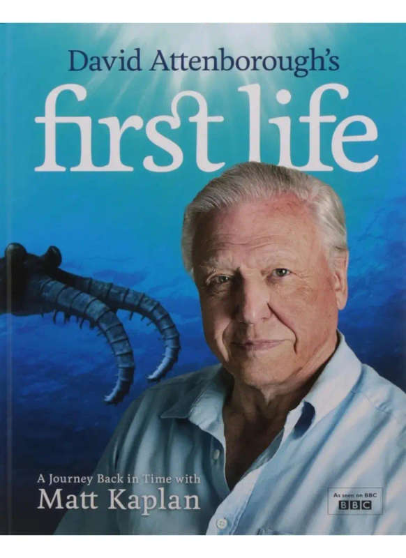 First Life