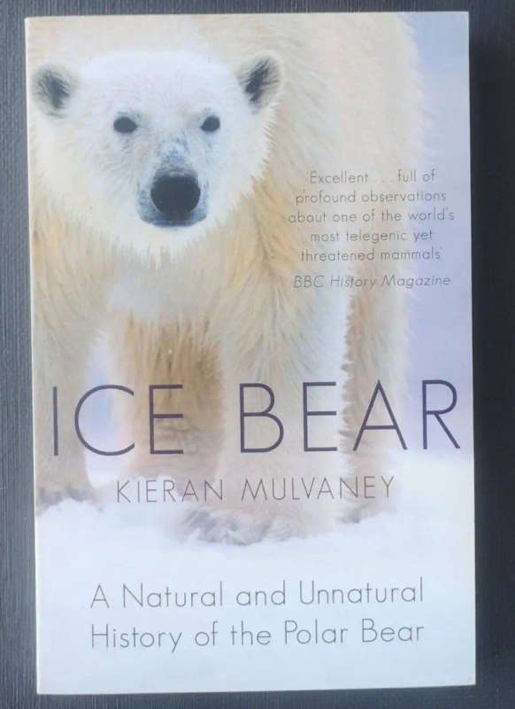 Ice Bear
