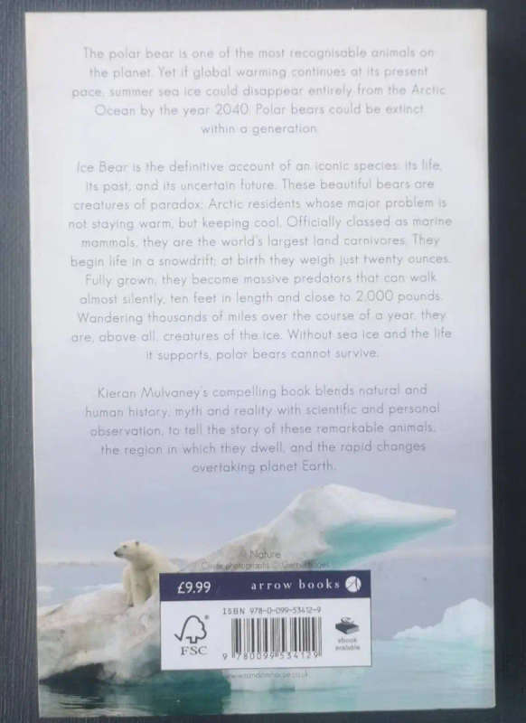 Ice Bear